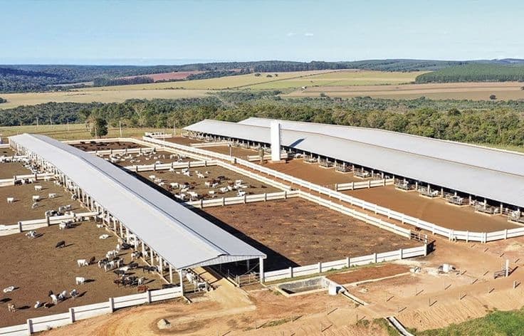 Agritech demonstration at a livestock farm in Kano.